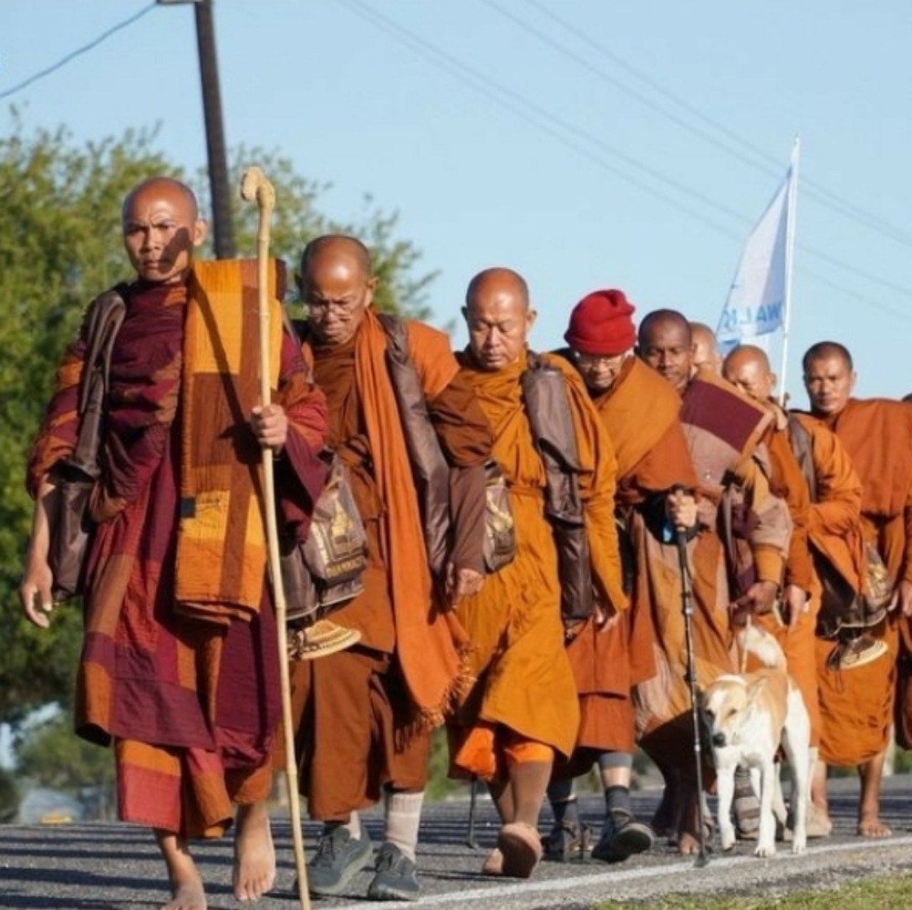 πΈWalk For PeaceπΈππ£πΏπππ - Picture 6 of 16